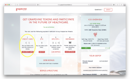 How to Invest in Grapevine ICO with Fiat (USD/EUR)